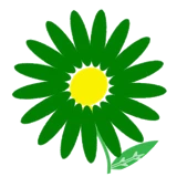 MY DAISY